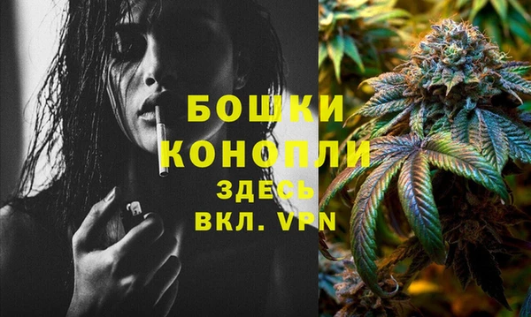 тгк Богородицк