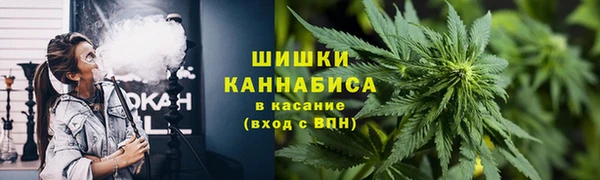 тгк Богородицк