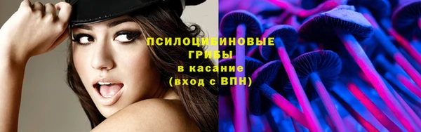 apvp Бронницы