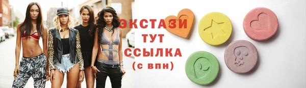 молекула духа Богданович