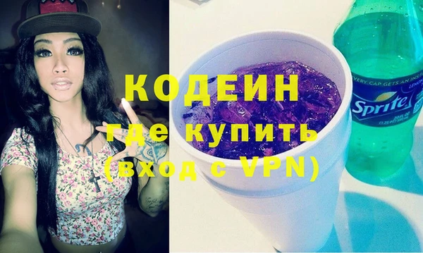 молекула духа Богданович