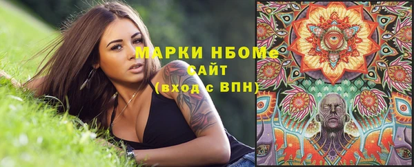 тгк Богородицк