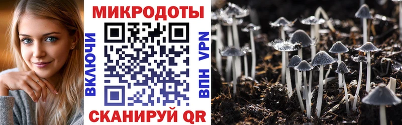 наркота  Ейск  Галлюциногенные грибы Psilocybe 